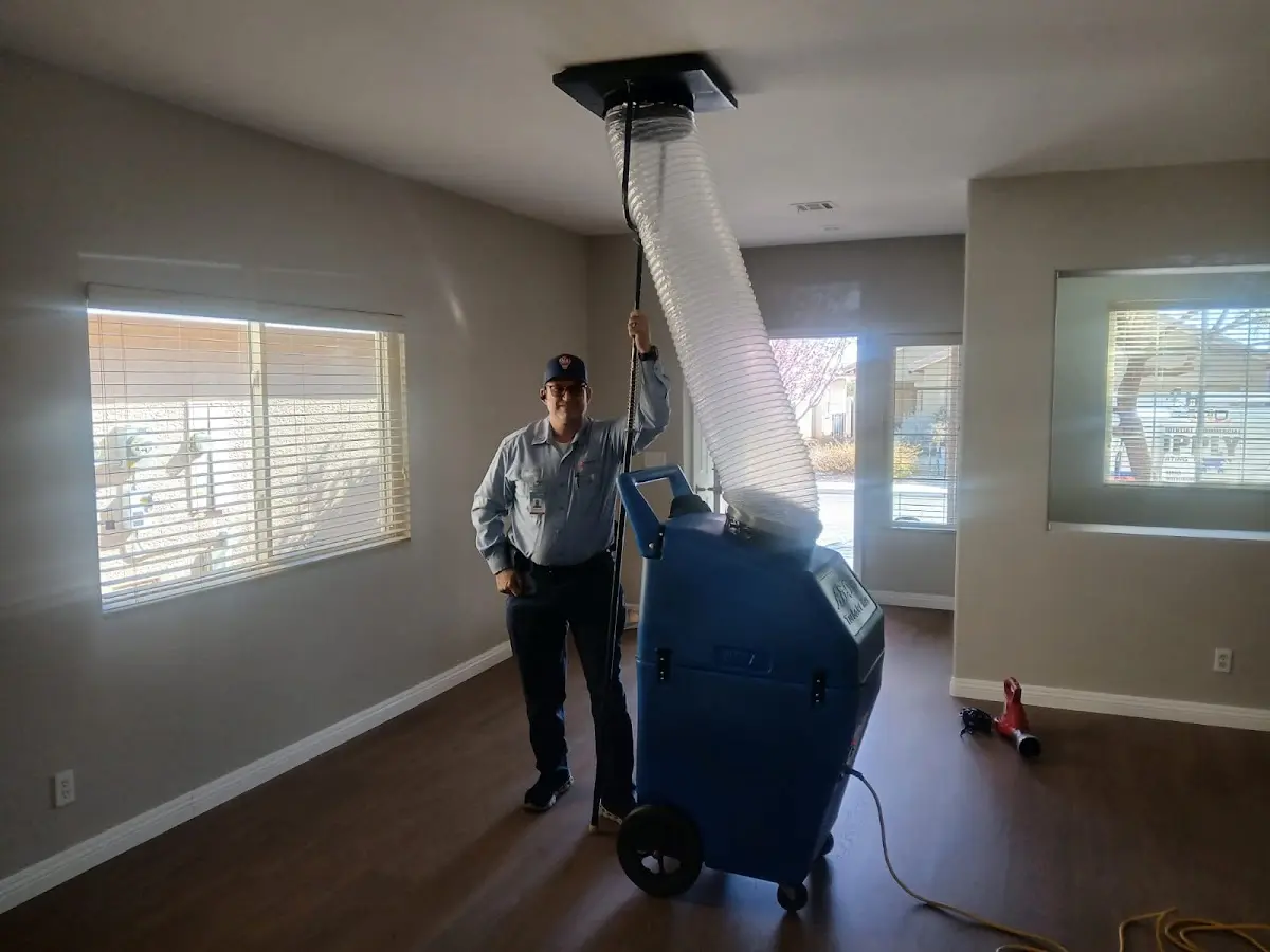 Professional Dryer Vent Cleaning work inside a Lincolnshire home